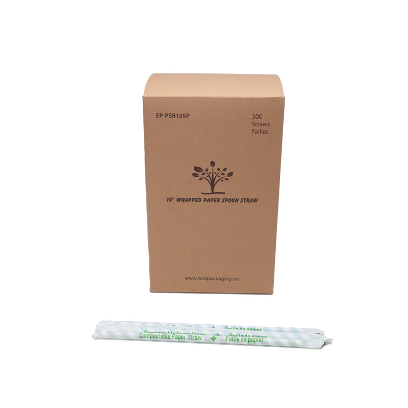 EP-PSR10SP#B💔 Eco-Packaging 10"  Paper Spoon Straw assorted colour  300/bx