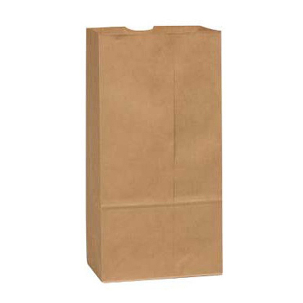 R3-28590800 20LB Kraft Bag HEAVY 8 3/16 X 5 1/16 X 15 7/8-500 /cs