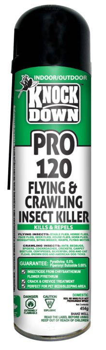 AM-KD120P#B💔 Knockdown Flying & Crawling Insect Killer 454gr