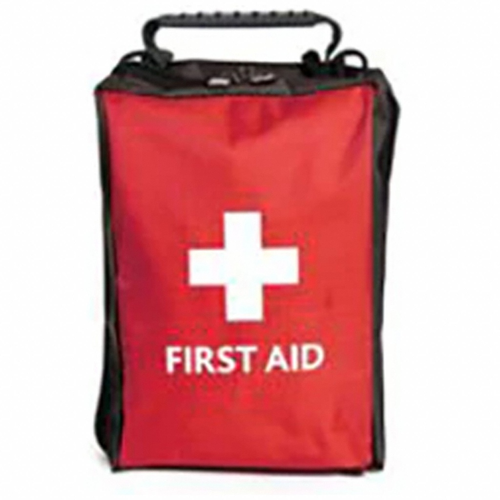 IS-RELCSA2002 CSA Type 2 Basic Small First Aid Kit Pouch