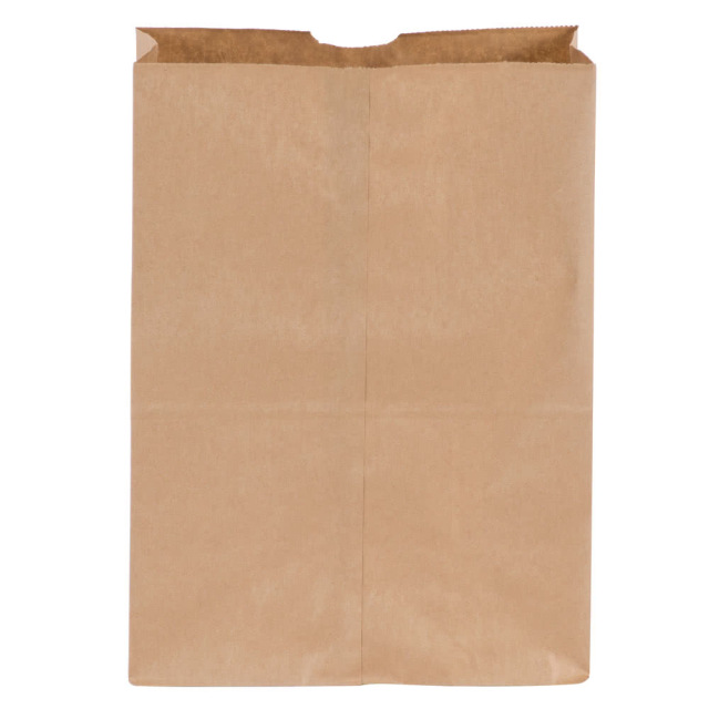 FOR-012026 12x7x17 Checkstand Bag 500/case