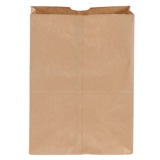 [FOR-012026] FOR-012026 12x7x17 Checkstand Bag 500/case